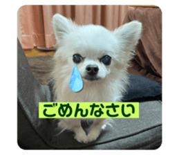 654360184