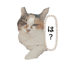 654372689