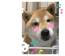 654374373