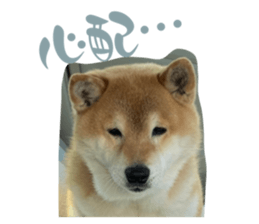 654374377
