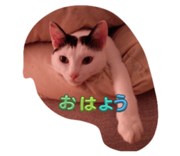 654380374