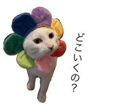 654436953