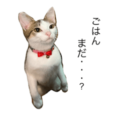654436955