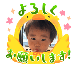 654444161