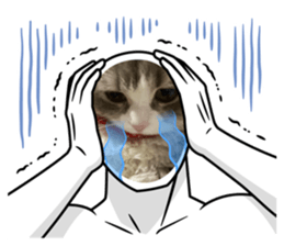 654451148