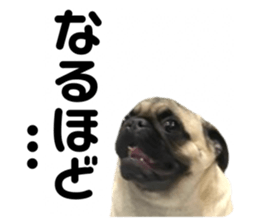 654460463