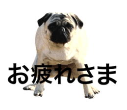 654460467