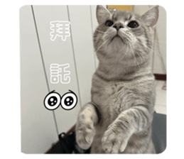 654482623