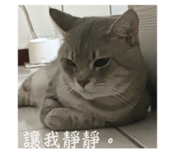 654482627