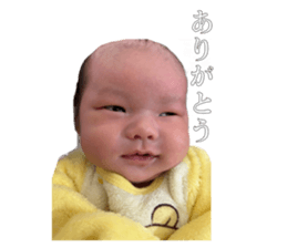 654486851
