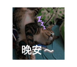 654496169