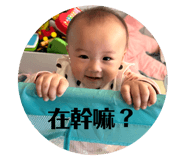 654509205