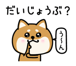 654511446