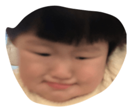 654515411