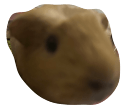 654517253