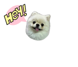 654530978