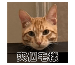 654531267