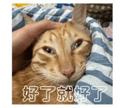 654531270