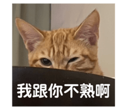 654531279