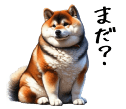 654548114