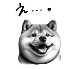 654548116