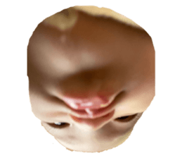 654556491