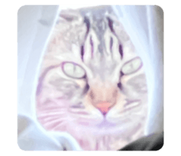 654578725