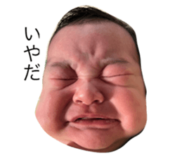 654598566