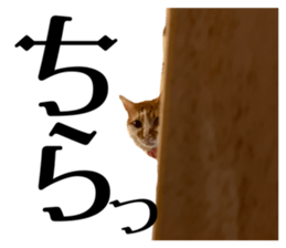 654599569