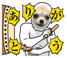654645418