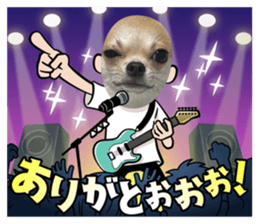 654645435