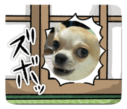 654645440
