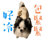 654668983