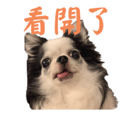 654668992
