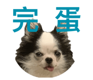 654668999