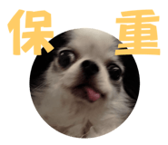 654669016
