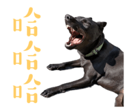 654669021