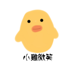 654669255