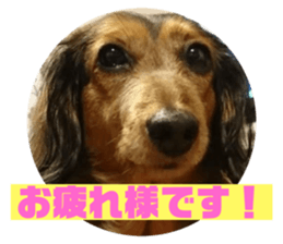 654680145