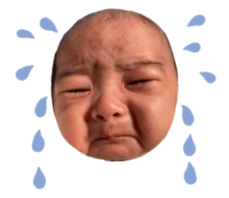 654683398