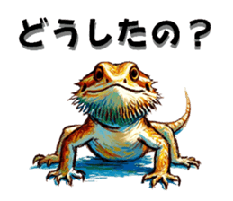 654693036