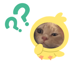 654695228