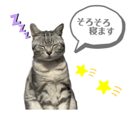 654707855