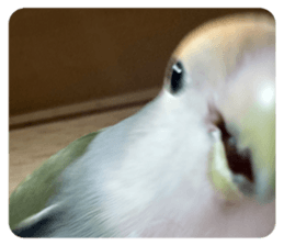 654713177