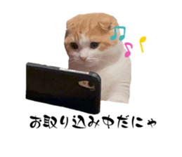 654716307