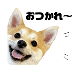 654717670