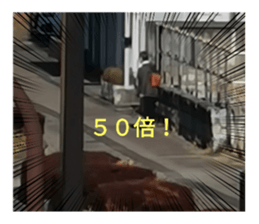 654738858