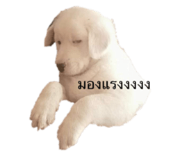654750823