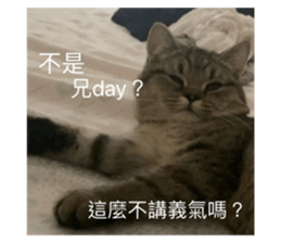 654754738