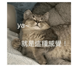 654754748